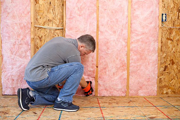 Best Insulation Installation Services in Bowleys Quarters, MD